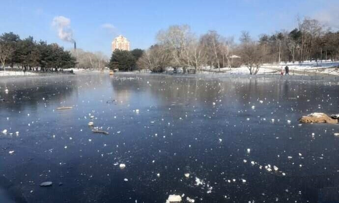 Замерзшие пруды в парке Победы превратились в каток (фото)
