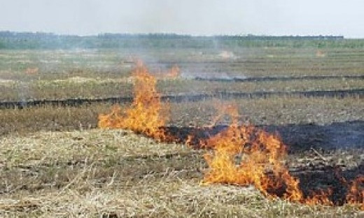 В Одесской области снова горит сено