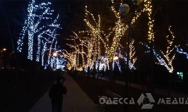 В Одессе на одном из бульваров подсветят деревья 