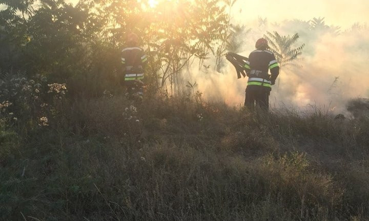 За сутки в Одесской области произошло более 30 пожаров