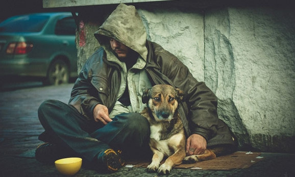 В Одессе рассказали как помочь бездомным в морозы