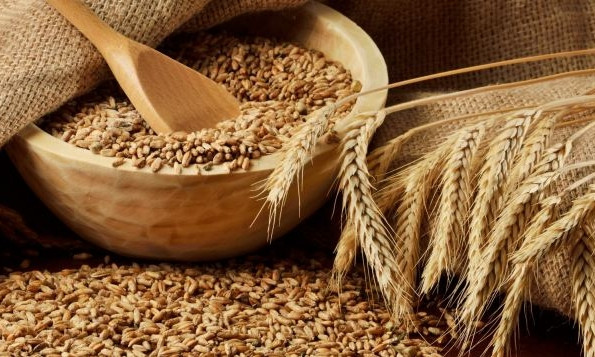 Одесская область: аграрии намолотили больше трёх миллионов тонн зерна