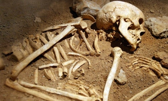 В Белгород-Днестровском районе нашли детские кости
