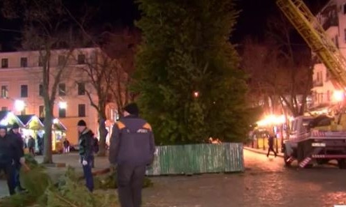 Новогодняя елка из трехсот натуральных сосен в Одессе