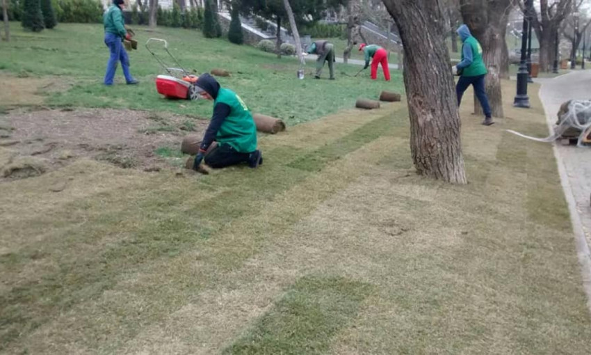 Зима и дети: в Стамбульском парке восстанавливают рулонный газон