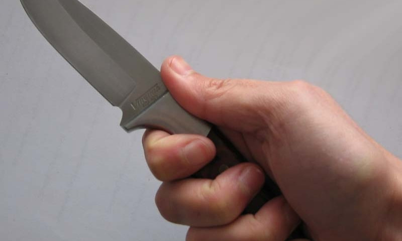 В Сергеевке восьмиклассник приставлял нож к одноклассницам