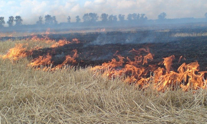 Будьте осторожны с огнём – снова горят поля в Одесской области