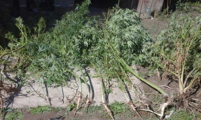 Житель Одесской области попался на хранении наркотиков