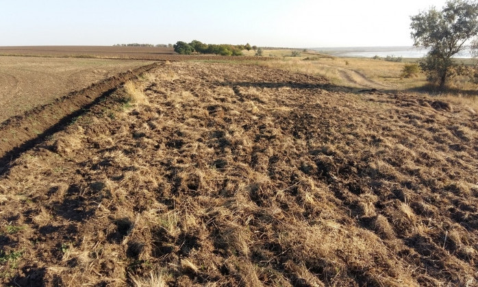 В Одесской области распахали заповедный участок степи 
