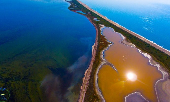 В Одесской области заповедные озера окрасились в коричневый и розовый оттенки (ФОТО)