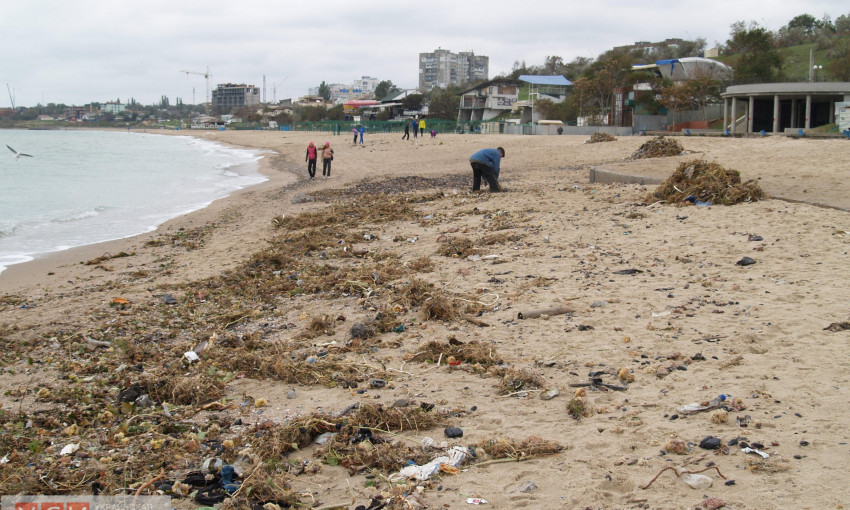 Жители Черноморска убирают пляж после шторма и собирают мидии