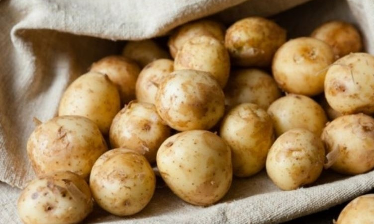 В Украине с начала года подорожал на 20% картофель