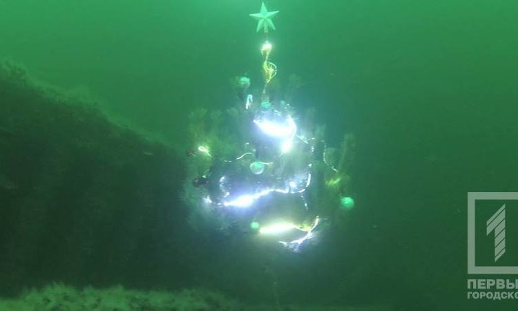 Дайверы установили ёлку на морском дне и отметили Новый год на затонувшем судне Sulina