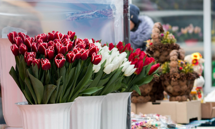 В преддверии праздника: цены на цветы в центре Одессы