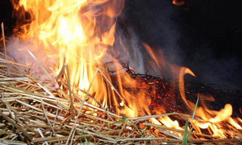 Детская шалость: в Одесской области сгорело 18 тонн сена