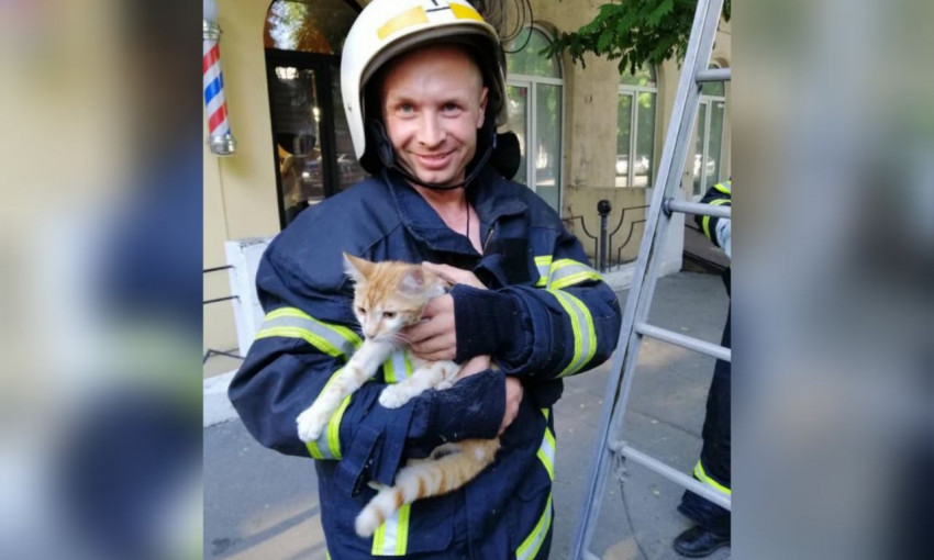 В Одессе пожарные помогли спастись коту