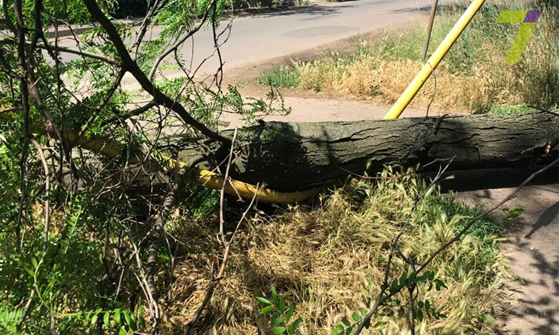 В Малиновском районе Одессы упавшее дерево повредило газопровод и перекрыло дорогу