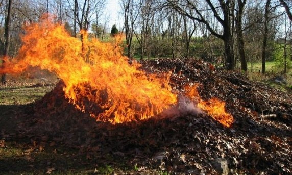 Сжигание сухих листьев привело к пожарам 
