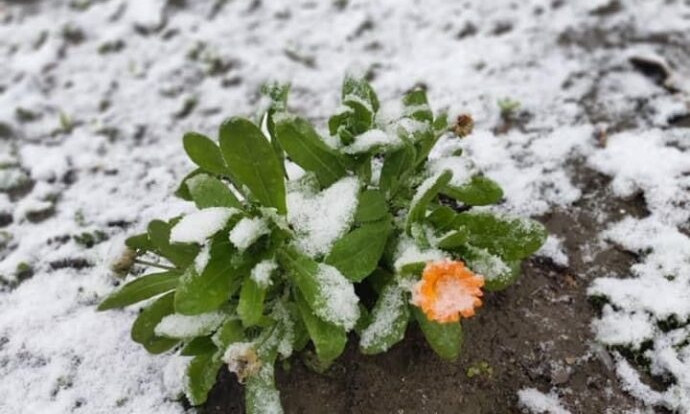 В Одессе выпал первый снег 