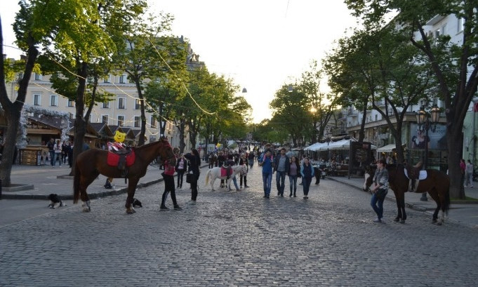 В центре Одессы лошадь отдавила ногу женщине: хозяйку животного пришлось догонять 