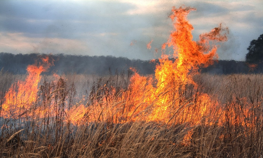 Спасатели призывают горожан не сжигать сухую траву и мусор