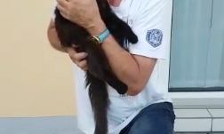 Гражданин Германии помогает одесским котятам