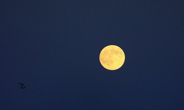 Вот уже несколько дней удивительной красоты луна радует взор одесситов