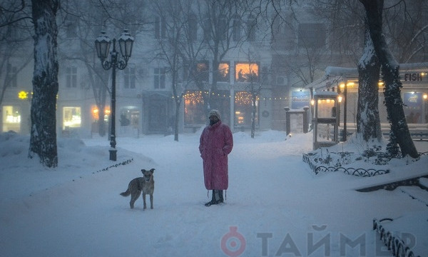 За прошедшие сутки в Одессе выпала месячная норма снега