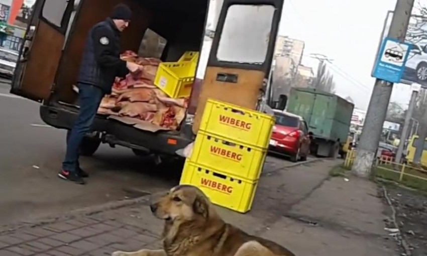 Как в Одессе доставляют мясо в магазины?