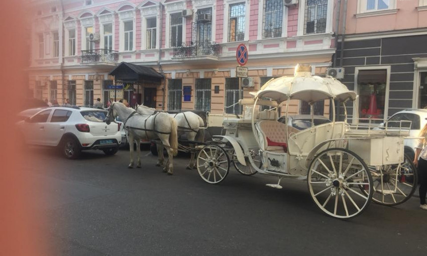 Одесский активист сдал в полицию карету с лошадьми (ФОТО)