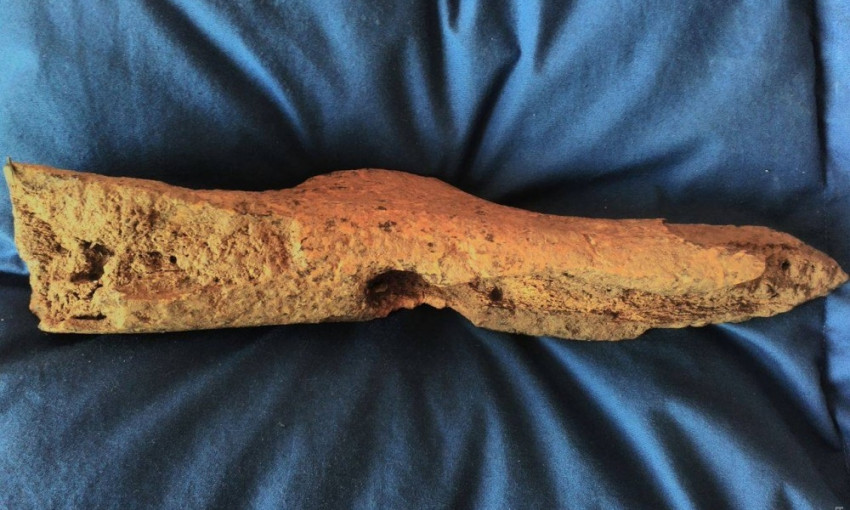 Во время экспедиции одесские студенты раскопали древнюю мотыгу, сделанную 7 тысяч лет назад