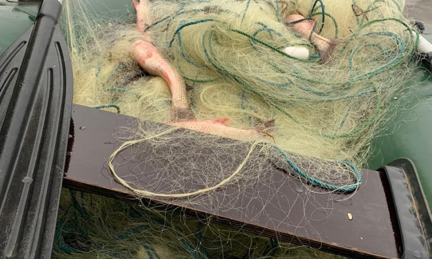 На Хаджибеевском лимане: уха из пеленгаса обойдется рыбаку в 45 тысяч