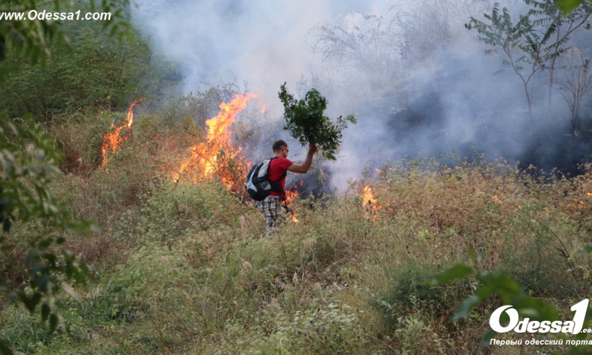В Одессе горели склоны