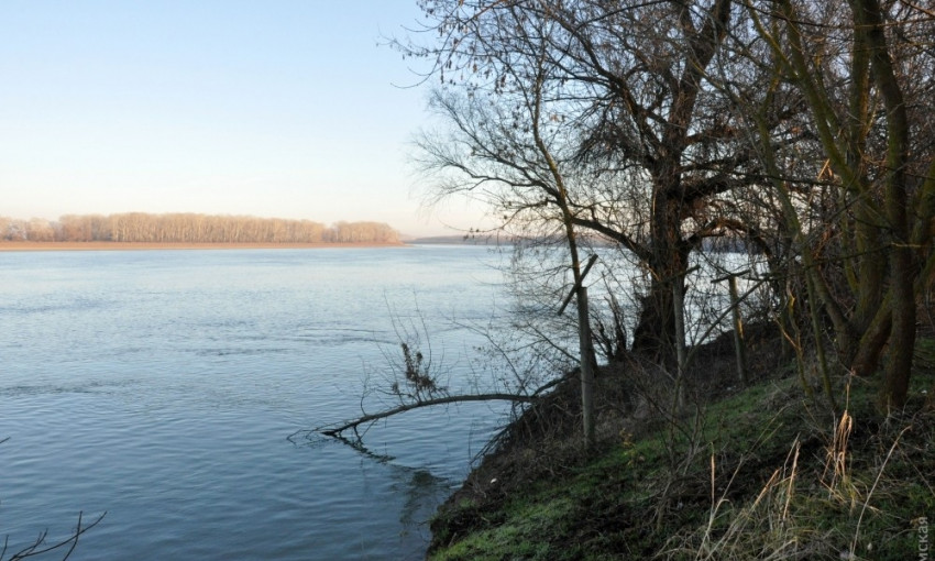 Дунайский остров Репида ушёл под воду ещё на полтора метра