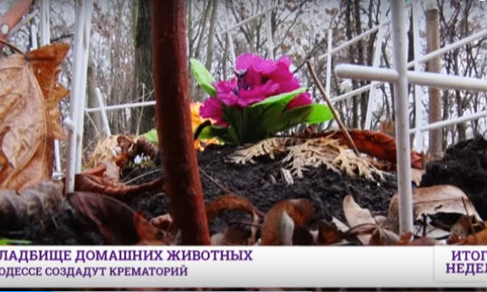 В Одессе создадут крематорий для животных