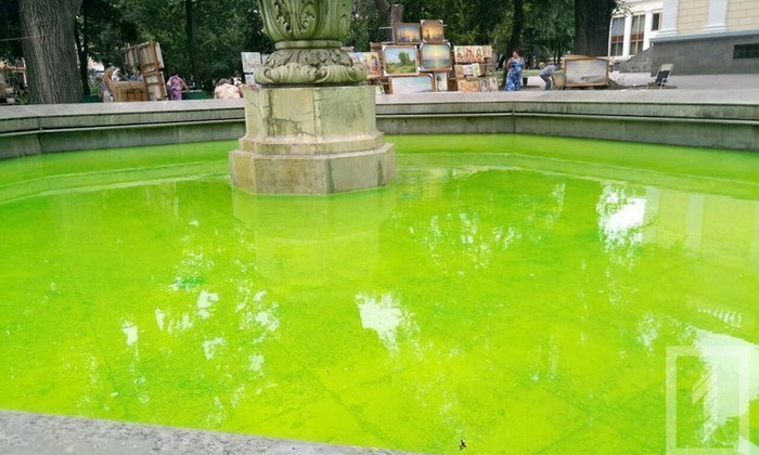 Ночные шалости: неизвестные вылили зелёную краску в фонтан на Соборной площади
