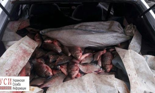 За 2018 год браконьеры выловили под Одессой свыше тонны рыб