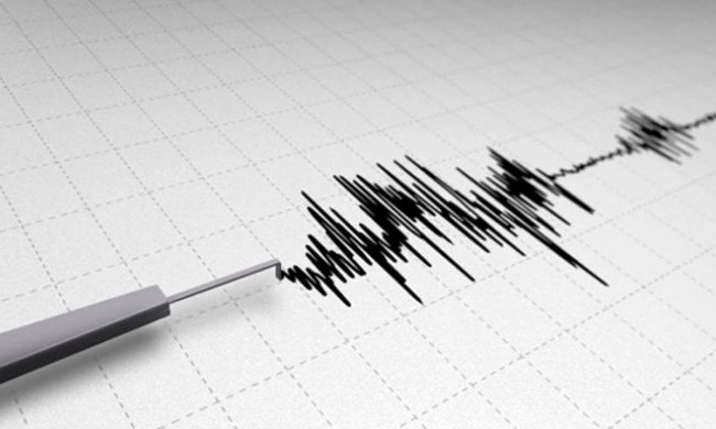 В результате землетрясения в Одесской области никто не пострадал, ничего не разрушено