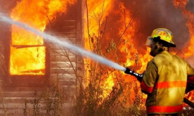 В Одесской области сгорела ферма: погибли животные