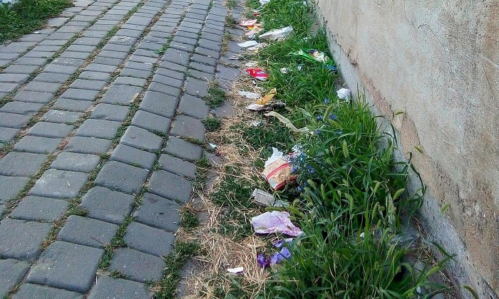 Праздники в Черноморске: отдыхающие оставили после себя 24 кубометра мусора