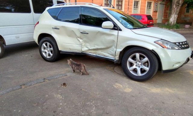 Вечернее ДТП в Одессе: иномарка снесла дорожный знак (ФОТО)