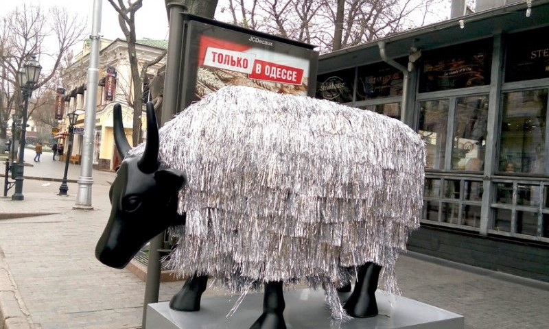 Самая знаменитая одесская корова отправилась в столицу (ФОТО) 
