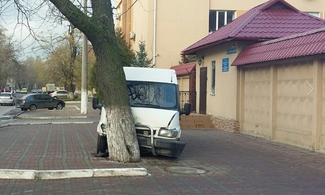 Водитель виртуозно «влетел» в дерево