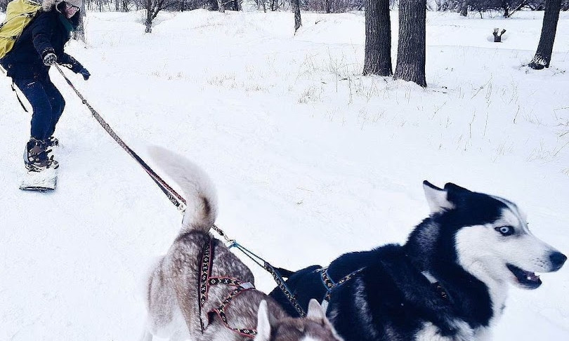 Одесские экстремалы катаются по снегу, привязавшись к автомобилю и собачьей упряжке