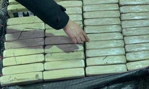 Изъятую партию кокаина в Одесской области оценили в $51 миллион (ФОТО, ВИДЕО)