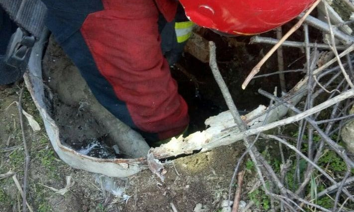 В Одесской области спасатели достали из-под земли собаку