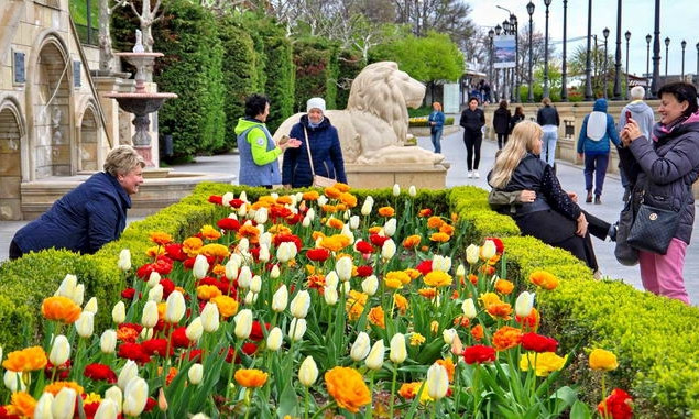 В Одессе распустился целый ковер из тюльпанов  