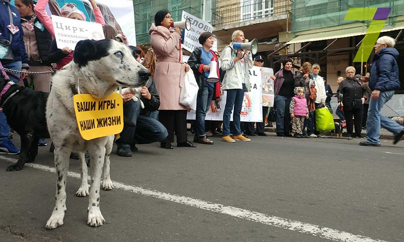 В городе прошел марш за права животных (ФОТО)