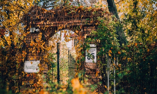 Осенняя Одесса - воплощение неземной красоты