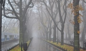 Завтра Одессу окутает туман